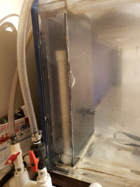 20181023_175624.jpg