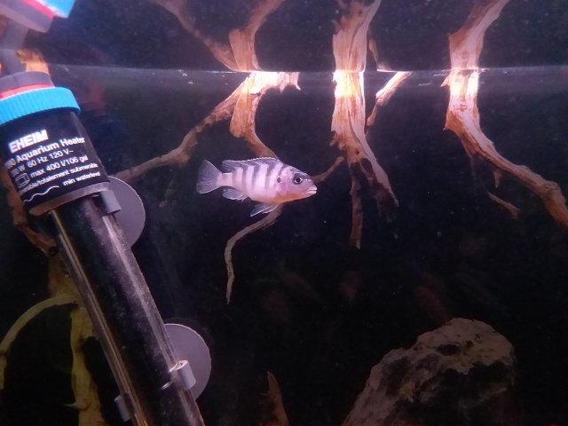 20181128_194145.jpg 20181128_194145.jpg