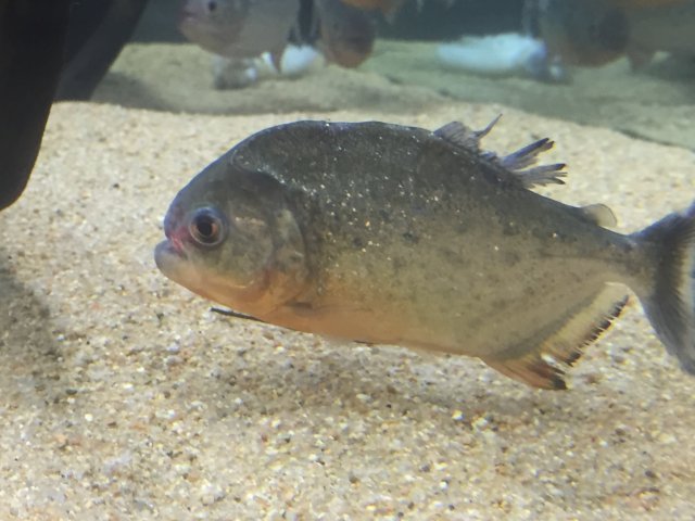 image2.jpeg