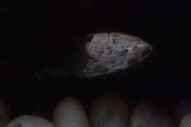 20181129_121627.jpg