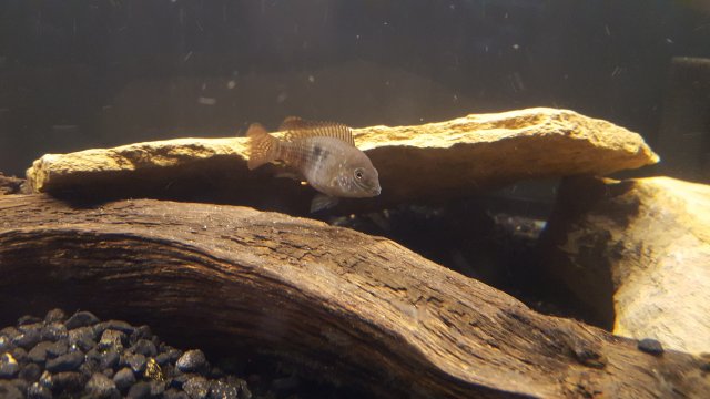 20181128_233543.jpg 20181128_233543.jpg