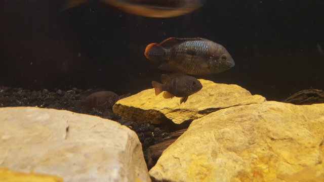 20181128_233549.jpg 20181128_233549.jpg