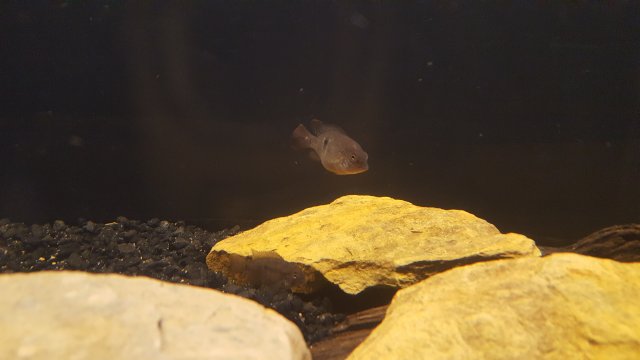 20181128_233902.jpg 20181128_233902.jpg