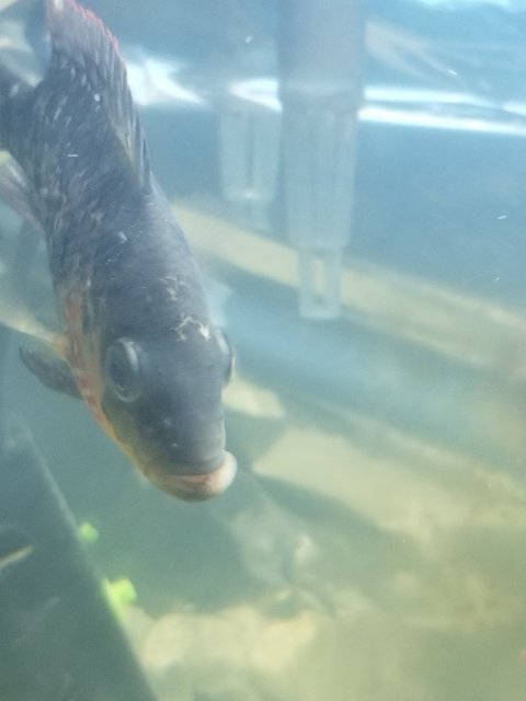 20181129_234051.jpg 20181129_234051.jpg