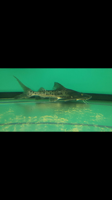 44372619-F610-4A44-87DA-783339B2ACF6.png