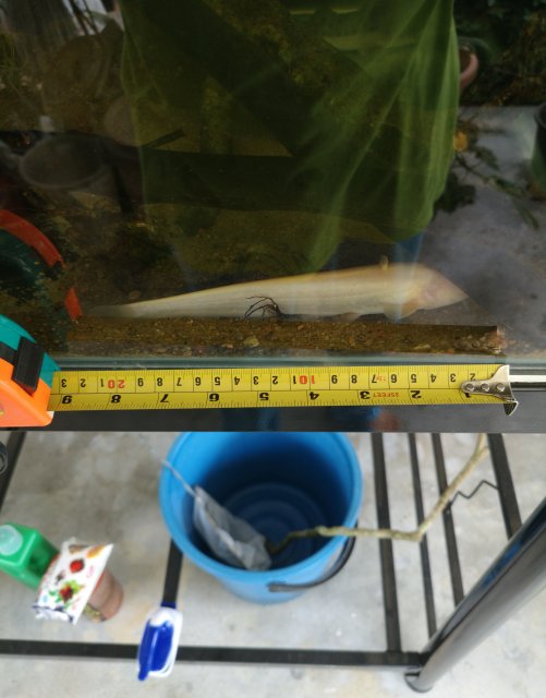 IMG_20181201_124429.jpg IMG_20181201_124429.jpg