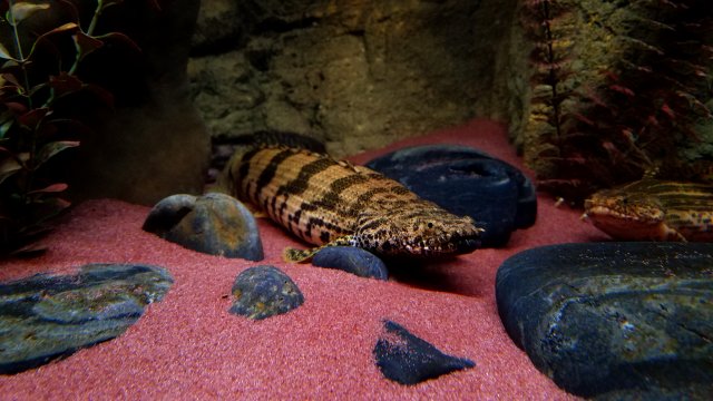 20181201_103755.jpg