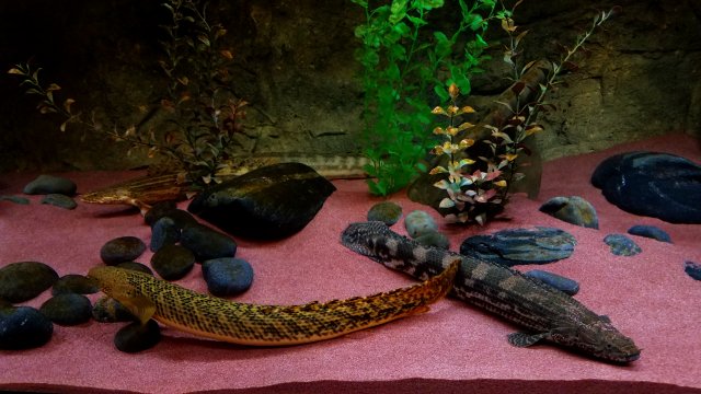 20181201_103215.jpg