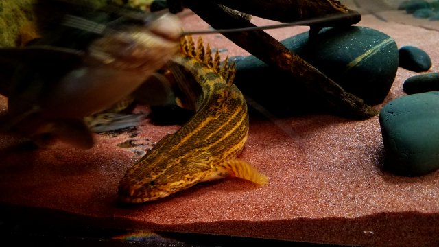 20181201_102938.jpg