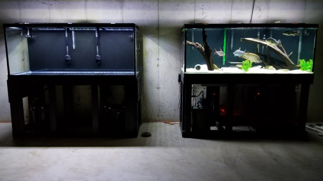 20181202_142017.jpg