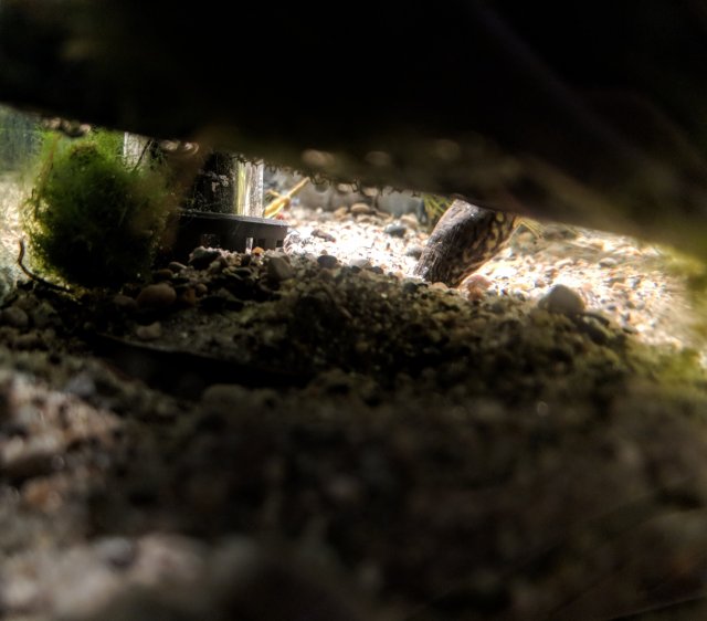 FACF053D-0EEB-4DF7-889C-292979C2FEFE.jpeg FACF053D-0EEB-4DF7-889C-292979C2FEFE.jpeg