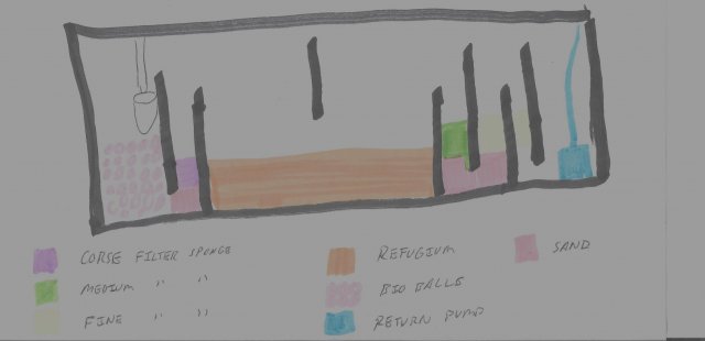 sump filter0002.jpg