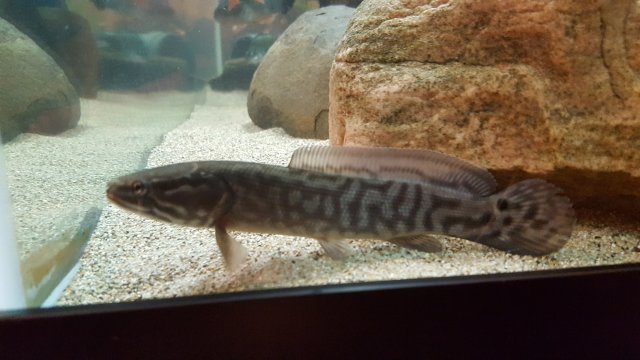20180909_204639.jpg
