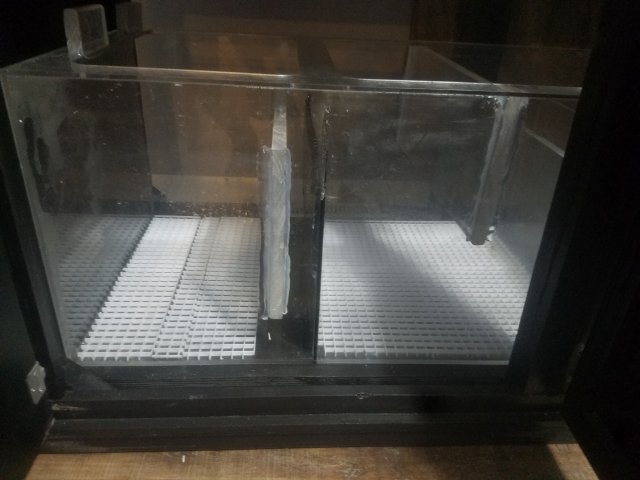 20181205_184344.jpg