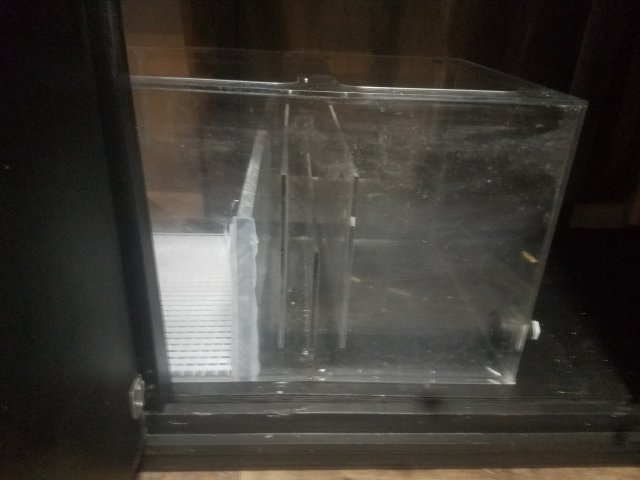 20181205_184348.jpg