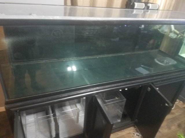 20181205_184357.jpg