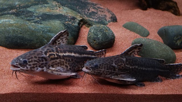 20180511_153124.jpg