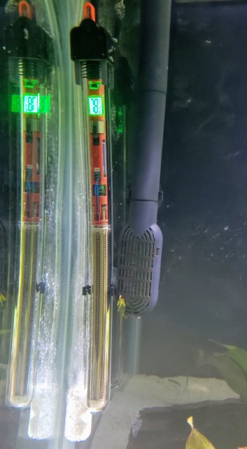 20181208_194551.jpg