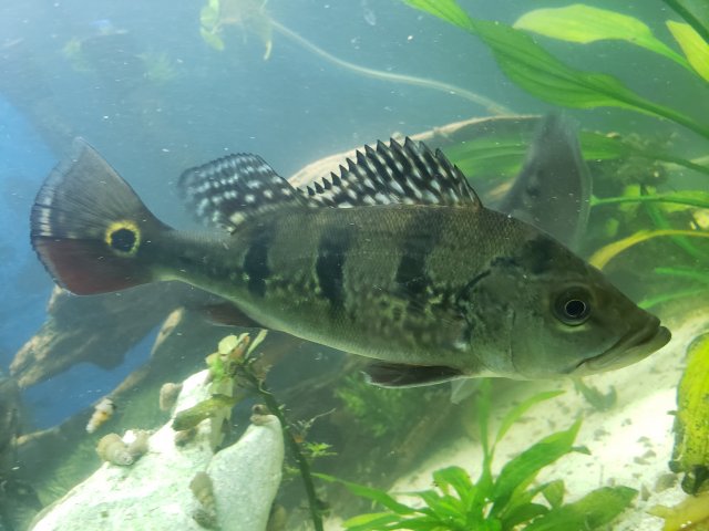 20181206_204452.jpg