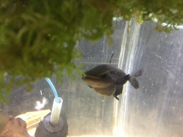 02C192CB-8908-4297-A632-8A274AC89771.jpeg 02C192CB-8908-4297-A632-8A274AC89771.jpeg