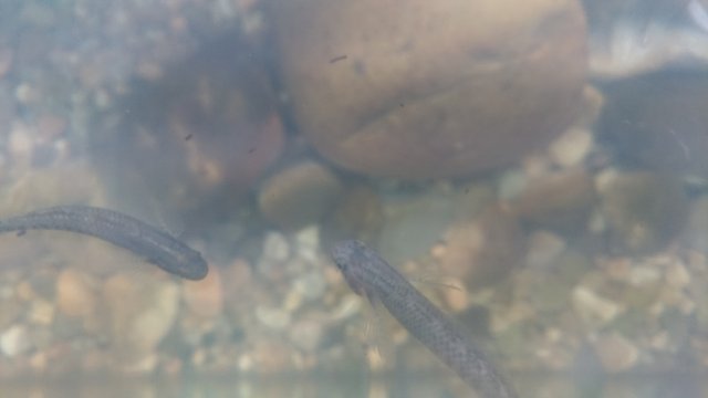 P_20181212_140708_vHDR_Auto.jpg