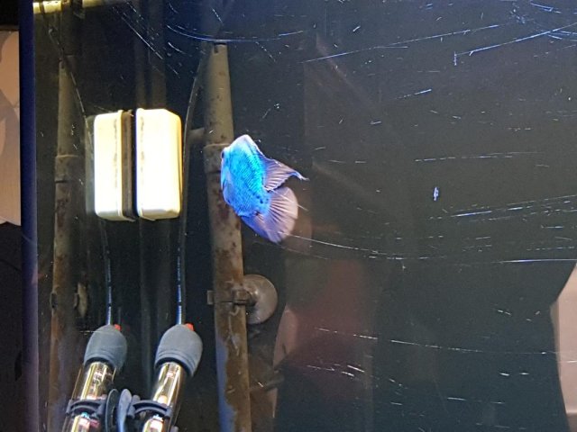 SulleyDay1_4.jpg