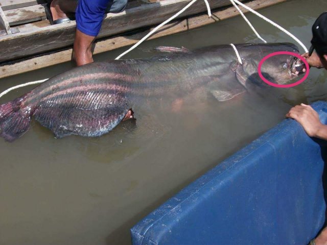 IMG_20181213_143407.jpg IMG_20181213_143407.jpg