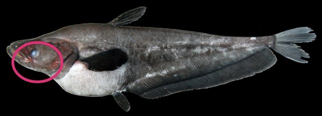 IMG_20181213_143427.jpg IMG_20181213_143427.jpg