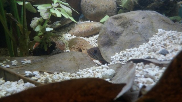 20181117_160743.jpg
