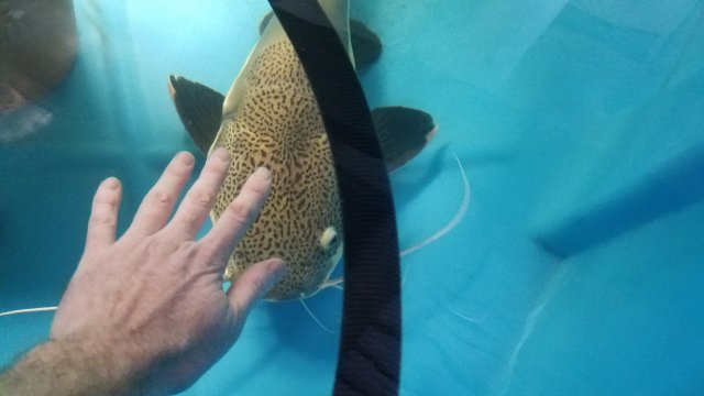 20181215_135320.jpg
