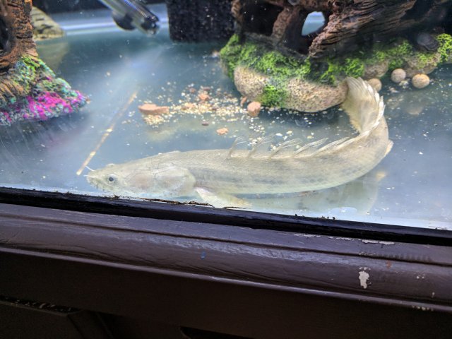 IMG_20181216_151219.jpg