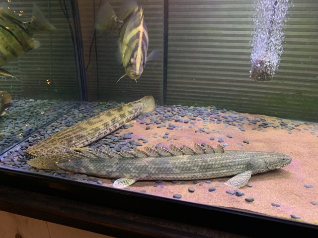 BAD12F25-8A13-47AA-A7E5-9608EE188438.jpeg BAD12F25-8A13-47AA-A7E5-9608EE188438.jpeg