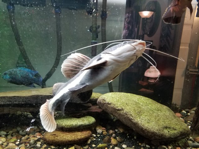 20180114_104242.jpg