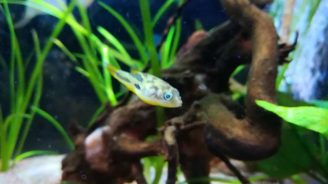 IMG_20181214_172049.jpg IMG_20181214_172049.jpg