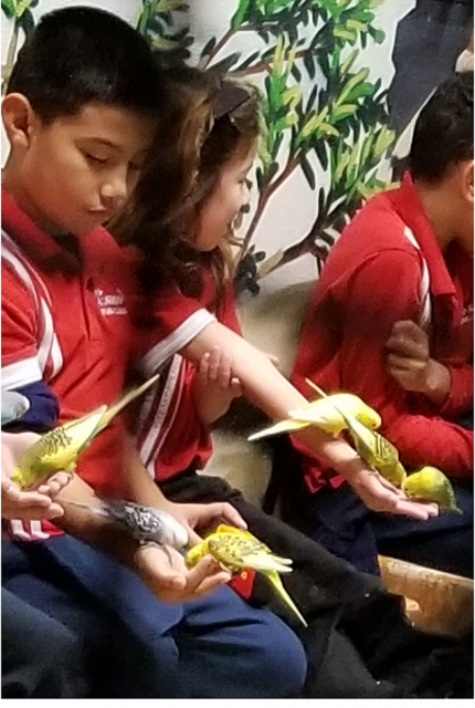 Birds.png
