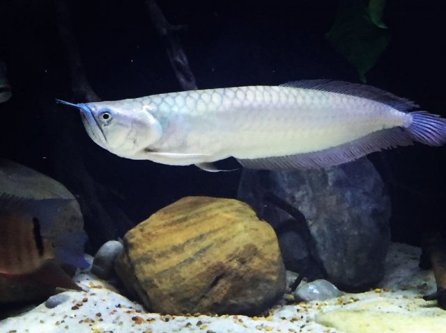 2885C386-B83B-45AD-BCDA-584BA3038206.jpeg 2885C386-B83B-45AD-BCDA-584BA3038206.jpeg