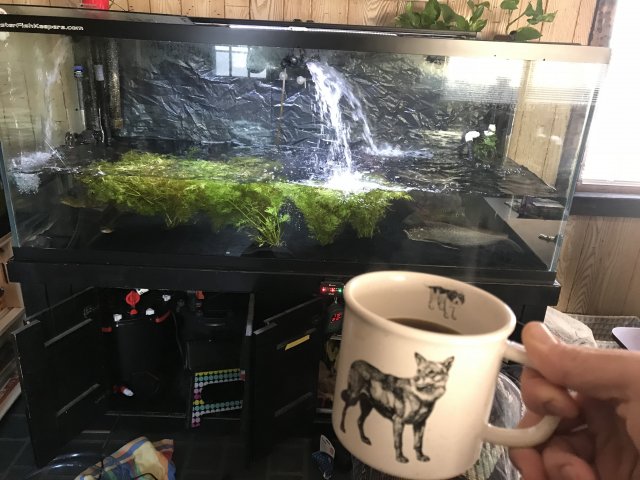 E0467AF9-1396-4DDA-AB14-FF2B0E77EA18.jpeg