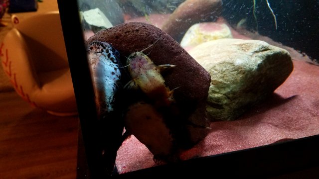 20181220_171126.jpg