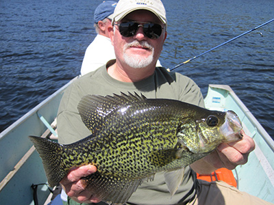 16-in-Crappie.jpg
