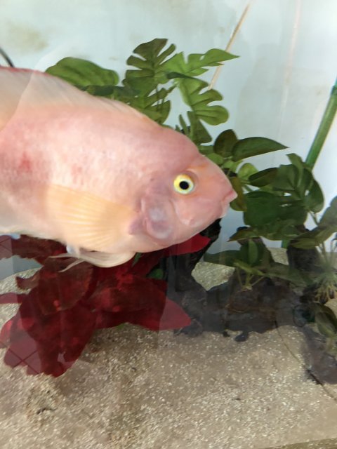 D11E4A19-62AF-4A30-9D35-A2D498D8374A.jpeg D11E4A19-62AF-4A30-9D35-A2D498D8374A.jpeg