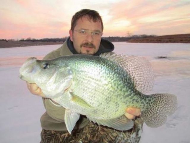 biggest-crappie-ever-800x601.jpg