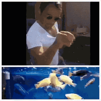 5069055B-43D6-4C14-B9AD-57AB28F409F9.gif