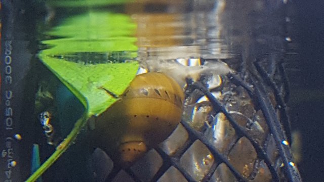 20181203_094720.jpg