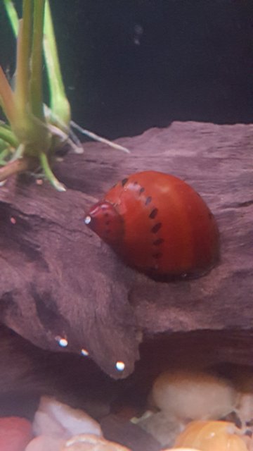 20181203_094653.jpg