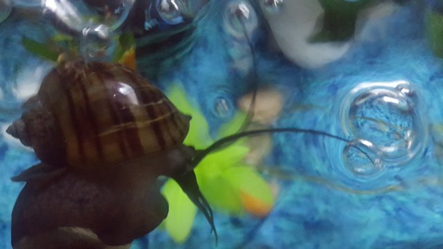 20181203_094637.jpg