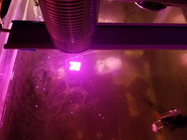 20181224_161241.jpg