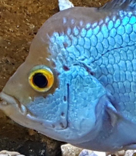 20181226_143425.jpg