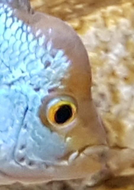 20181226_143308.jpg