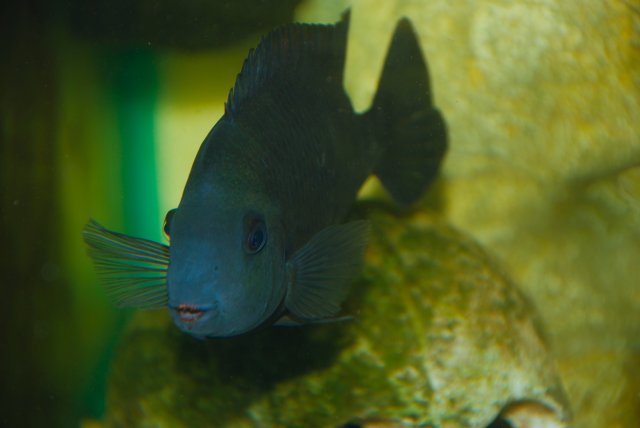 DSC_0093.JPG