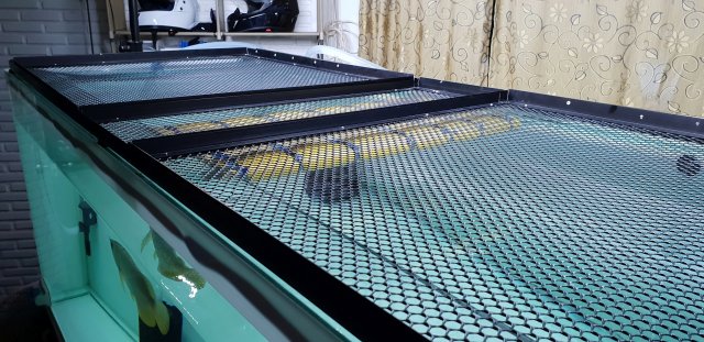 GHXB 325 tank cover 4 med.jpg
